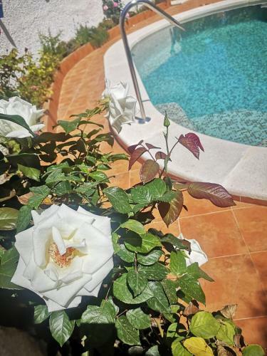 Family Villa With Private Pool