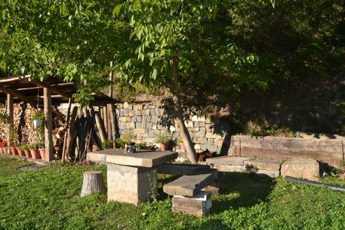 Apartamentos Vi�a Olivan