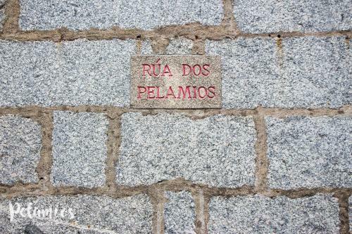 Apartamento Pelamios House