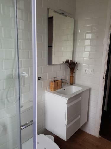Apartamento Casco Antiguo