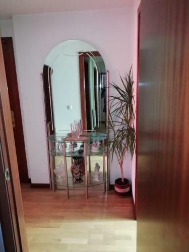 Apartamento Piso Salgueiro