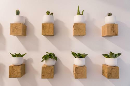 Seis Aldabas Apartamentos