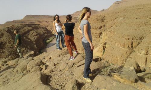 �cologie Oasis Tafilalt