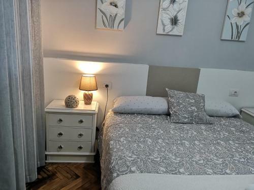 Apartamento Atico Camino De Santiago