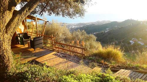 Campo Agave Luxury Tents