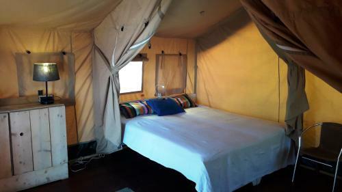 Campo Agave Luxury Tents