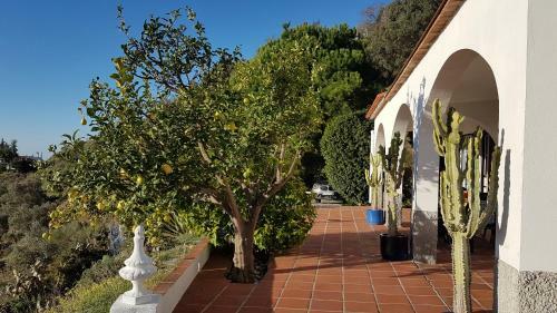 Casa Esmee