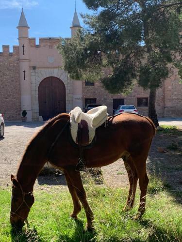 Apartamento Castillo Con Piscina En Plena Sierra Calderona