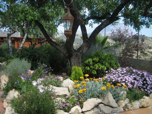 Bed & Breakfast Villa Pico