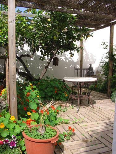 Bed & Breakfast Villa Pico