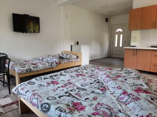 Bed & Breakfast Vila Na Drini-apartmani