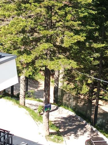 Apartman Bijela Bjela?nica