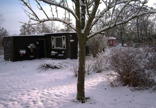 De Vuurplaats