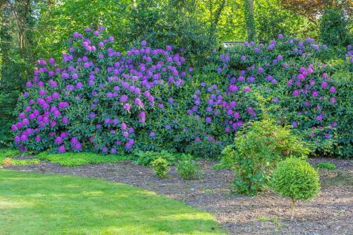 B&B Schipborg
