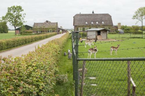 Bed & Breakfast Bakhuis Het Oude Klooster