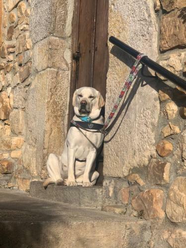 Agroturismo Posada El Pare�n