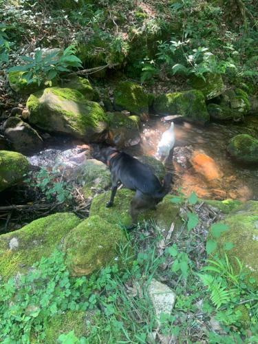 Agroturismo Posada El Pare�n