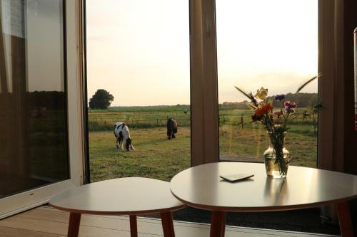 Slapen Tussen De Paarden