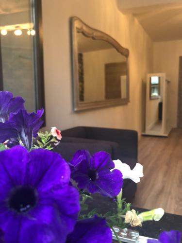 Apartamento Vip 67