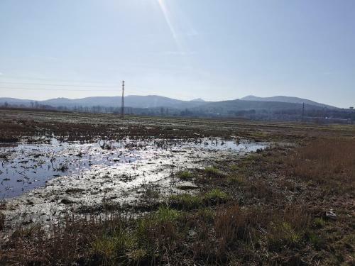 Empord� Masia Parc Natural Del Montgr�