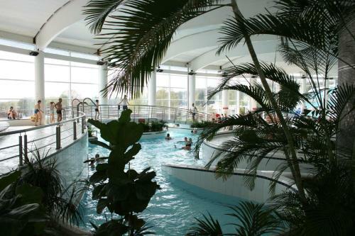 L'�cureuil Des Lacs