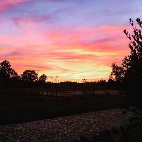 Bed & Breakfast De Worfthoeve
