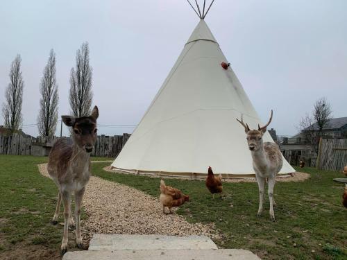 Apartamento Les Tipis D'adri