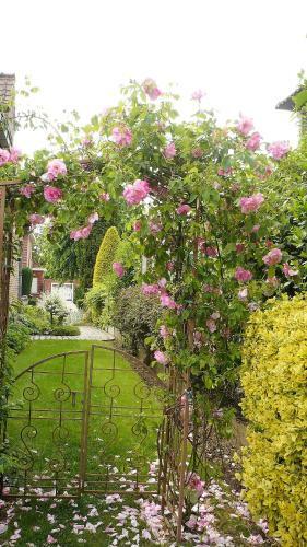 B&B Vanderstraeten-bryxis