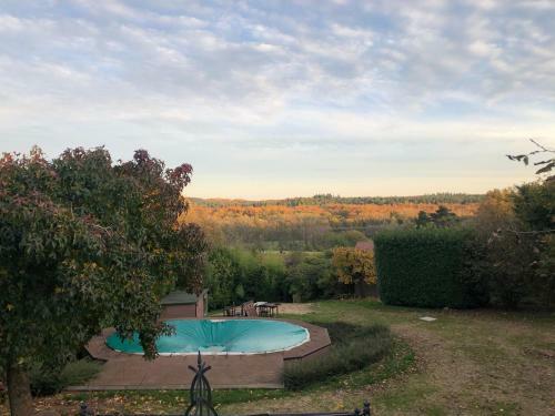 Hallerbos B&B In Bluebell Forest