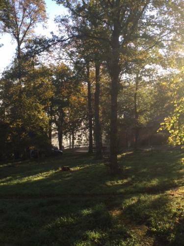 Bird House - Domaine Du Bonsoy - Hastiere