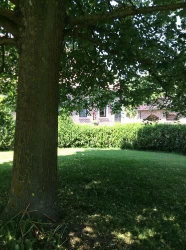 Apartamento Vakantiewoning Salix