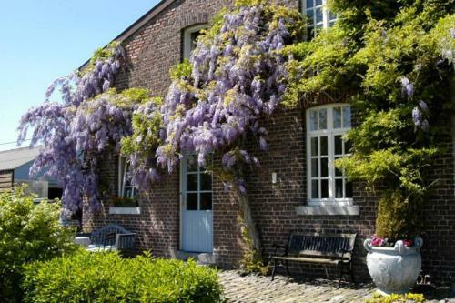 Apartamento Hoeve Espewey Cottage