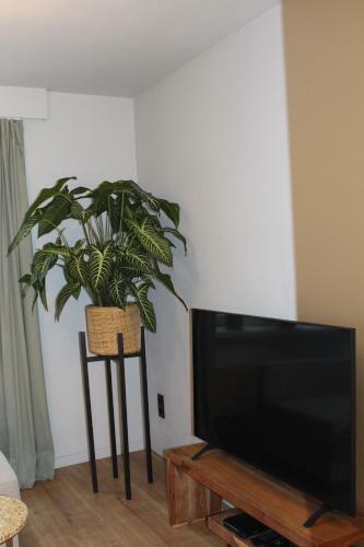 Apartamento Maison Drappier