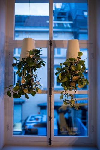 Apartamento Peper