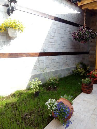Rose Valley Guest House