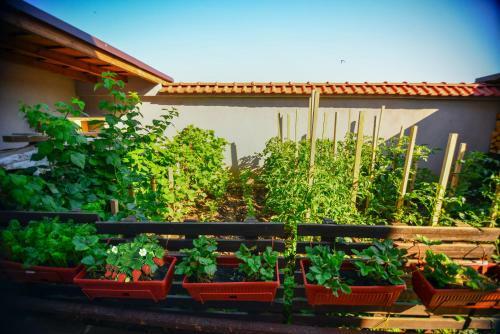 Hostal Katerina Guest House