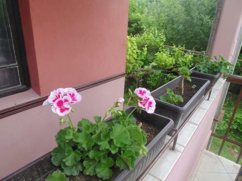 Hostal Unique Art House For 10 With Near Nature - ?????? ?? ?????????