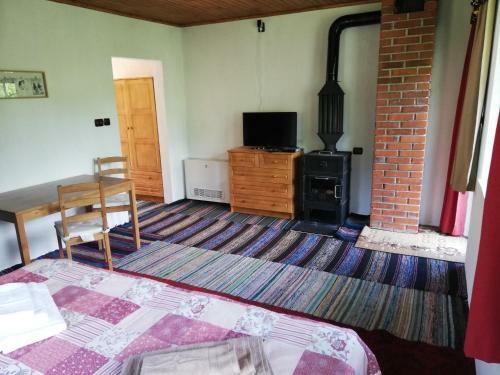 Hostal Guest House Elena