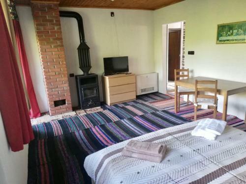 Hostal Guest House Elena