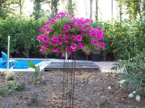 Bed And Breakfast Engelen Holland