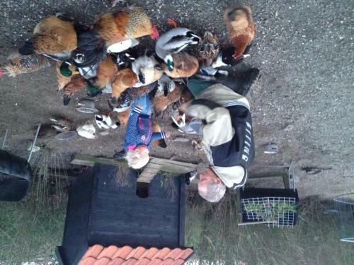 Hostal Farm Overleekerhoeve