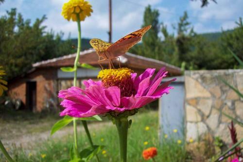 Apartment In A Biodiversity Hotspot.