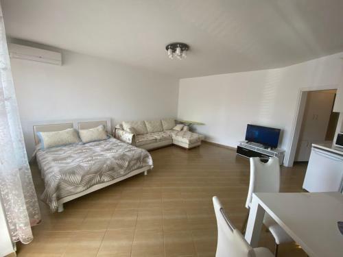 Apartments In Complex Raduga