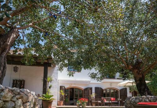 Villa Lola
