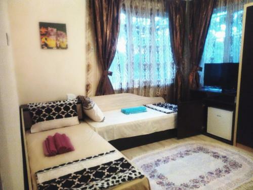 Hostal Rose & Water Guest House