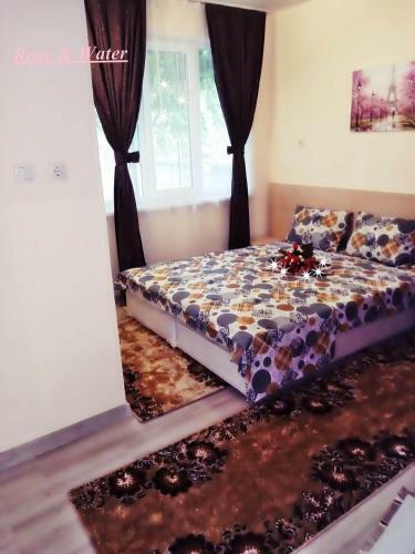 Hostal Rose & Water Guest House