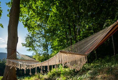 Hostal Complex Lovets