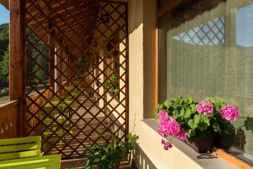 Hostal Complex Lovets