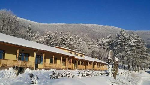 Hostal Complex Lovets
