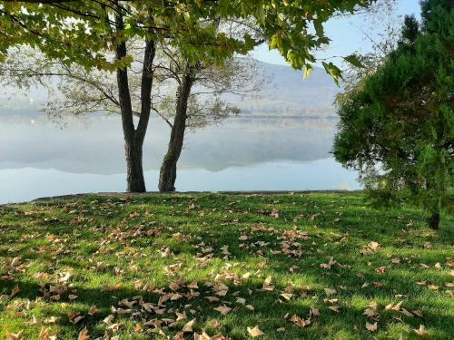 Apartamento Studio -apartament Pravets Spa Resort With Beautiful Lake View